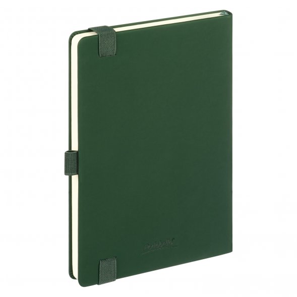 Ежедневник Alpha недатированный, зеленый/оливковый 