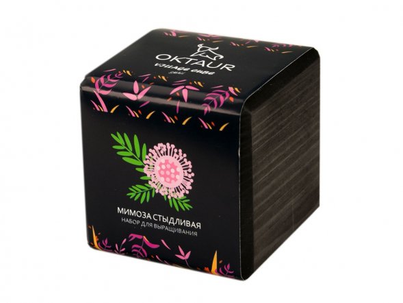 Набор для выращивания Small village cube Мимоза стыдливая 