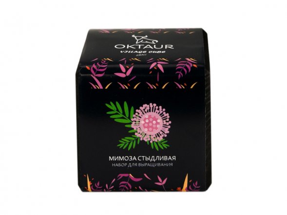 Набор для выращивания Small village cube Мимоза стыдливая 