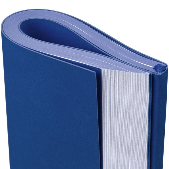 Ежедневник Flat Maxi, недатированный, синий 