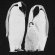 Свитшот детский Like a Penguin, черный 