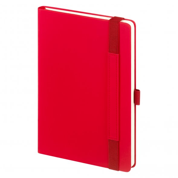 Ежедневник Alpha недатированный, красный/серый 