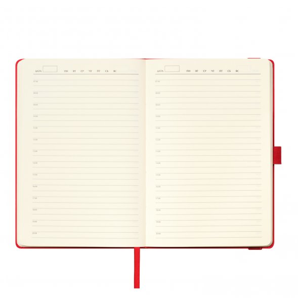 Ежедневник Alpha недатированный, красный/серый 