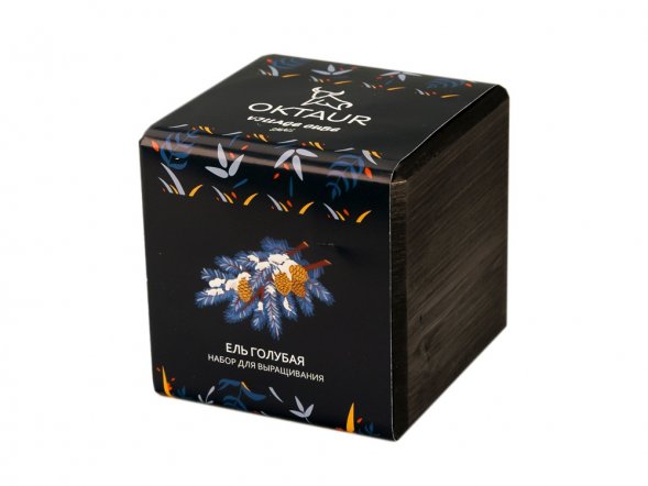 Набор для выращивания Small village cube Ель Голубая 