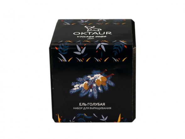 Набор для выращивания Small village cube Ель Голубая 