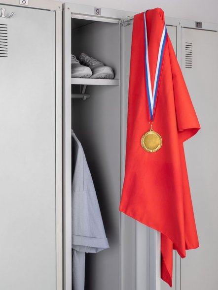 Медаль Regalia, большая, золотистая 