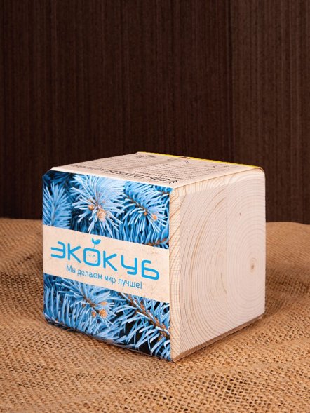 Набор для выращивания «Экокуб», ель голубая 