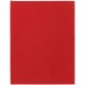 Ежедневник Flat Maxi, недатированный, красный 