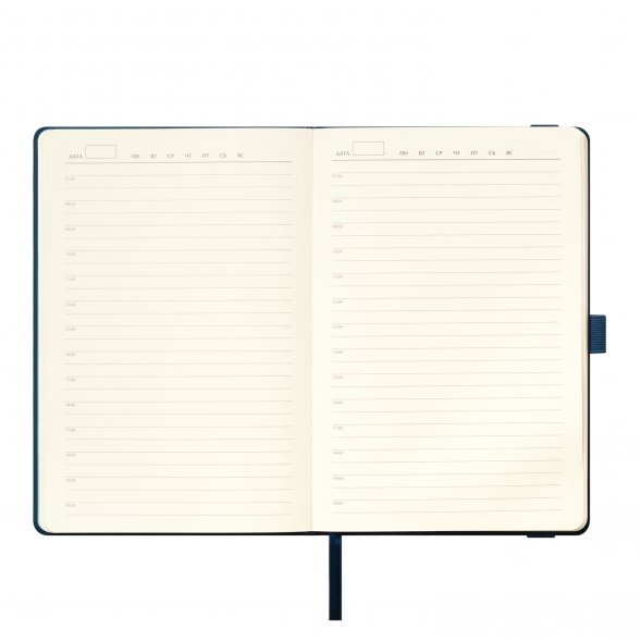 Ежедневник Alpha недатированный, синий/голубой 