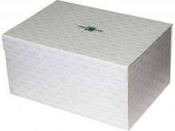 Часы Принц Аквитании, серебристый/золотистый