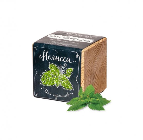 Набор для выращивания «Экокуб», мелисса 