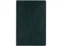 Ежедневник недатированный А5 Megapolis Nebraska Flex, зеленый с золотым обрезом