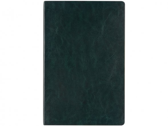 Ежедневник недатированный А5 Megapolis Nebraska Flex, зеленый с золотым обрезом 