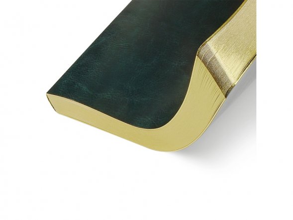 Ежедневник недатированный А5 Megapolis Nebraska Flex, зеленый с золотым обрезом 