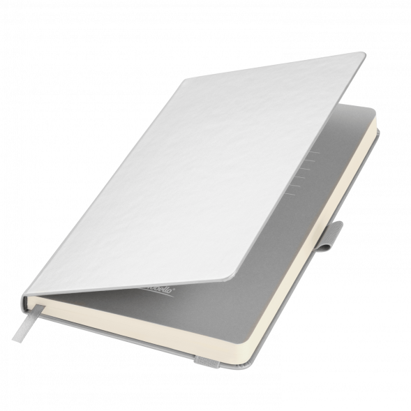 Ежедневник Alpha недатированный, серебро/серый 