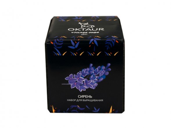 Набор для выращивания Small village cube Сирень 