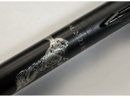 Шариковая ручка Parker Jotter XL LIMITED EDITION 2023 (символ года) в подарочной упаковке, цвет: Black, стержень: Mblue