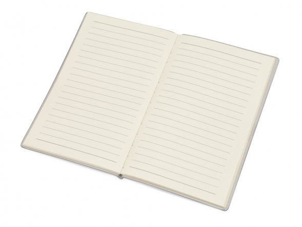 Блокнот А6 Riner, серый 