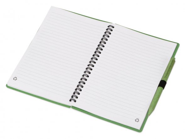 Блокнот А5 Toledo M, зеленый + ручка шариковая Pianta из пшеничной соломы, зеленый 