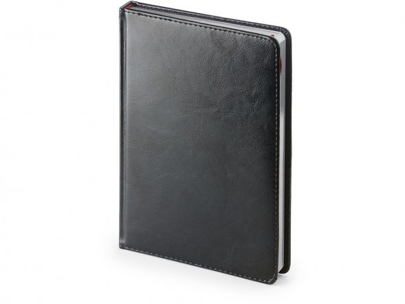 Ежедневник недатированный А6 Sidney Nebraska, черный с серебристым срезом 