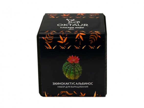 Набор для выращивания Small village cube Эхинокактус Альбинос 