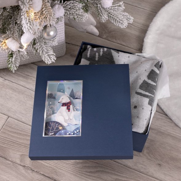 Коробка The Blue Bear, M 