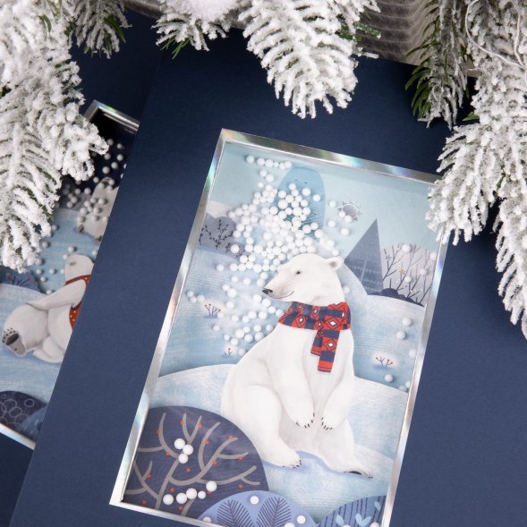 Коробка The Blue Bear, M 
