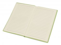 Блокнот А6 Riner, зеленое яблоко