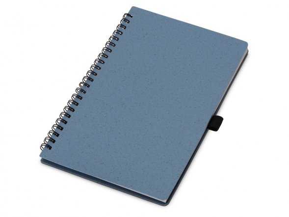 Блокнот А5 Toledo M, синий + ручка шариковая Pianta из пшеничной соломы, синий 