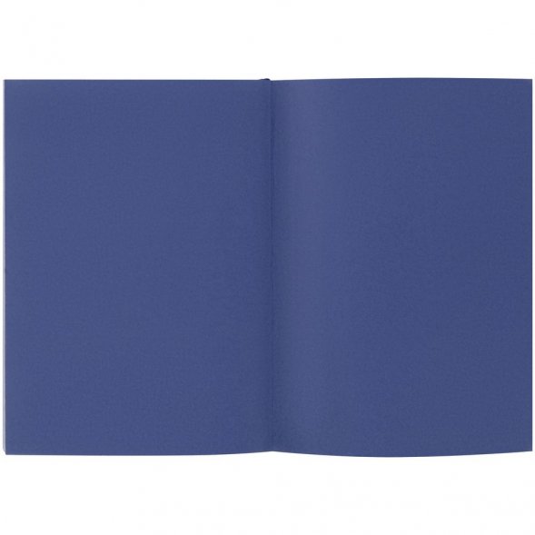 Ежедневник Flat, недатированный, синий 