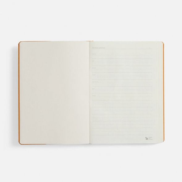 Ежедневник Urban Metal, недатированный, оранжевый 