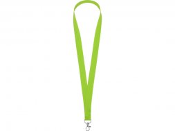 Ланьярд с карабином, зеленое яблоко