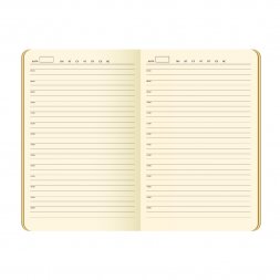 Ежедневник Arctic недатированный, белый/платина