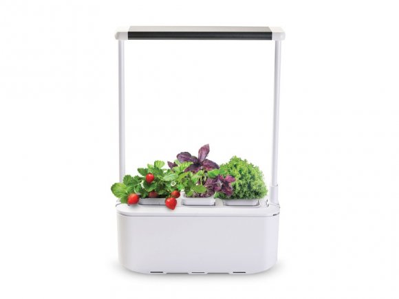 Компактный смарт-сад iGarden PRO с подсветкой 