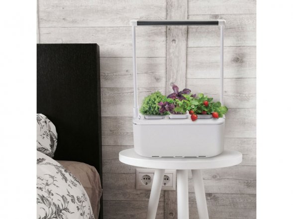Компактный смарт-сад iGarden PRO с подсветкой 