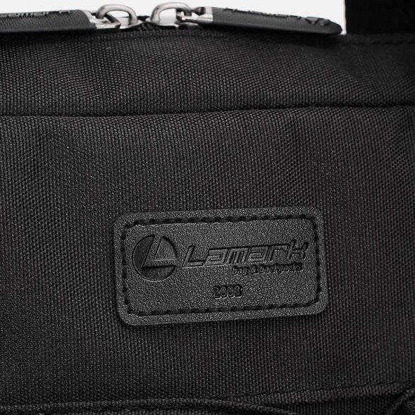 Сумка для ноутбука L255, черная 