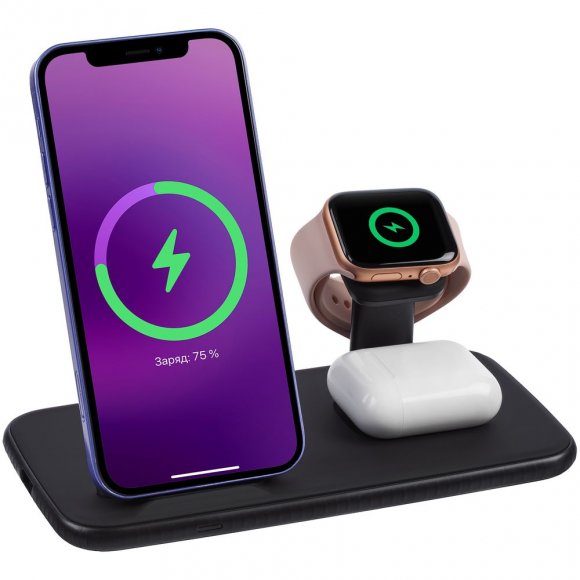 Зарядная станция Smart Nest, черная под нанесение