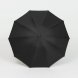 Зонт обратного сложения с ручкой-карабином Foldberry, черный 