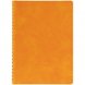 Ежедневник Spring Urban, недатированный, оранжевый 