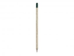 Растущий карандаш с семенами базилика