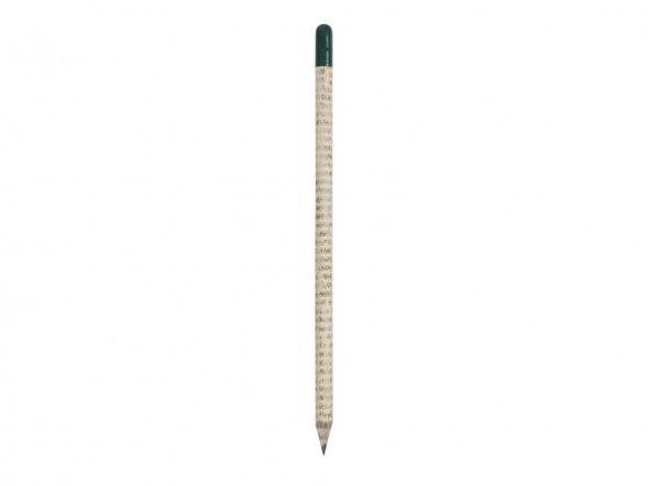 Растущий карандаш с семенами базилика 