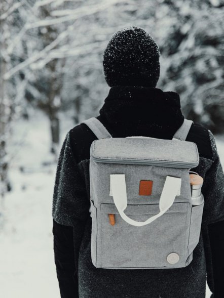 Рюкзак-холодильник Sortino, серый 