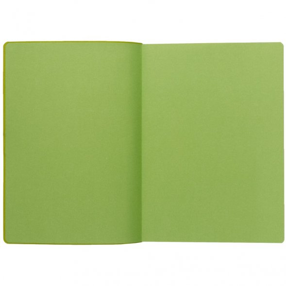 Ежедневник Flexpen Black, недатированный, черный с зеленым 