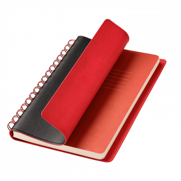 Ежедневник Vista недатированный, черный/красный 