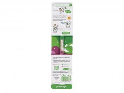 Растущий карандаш с семенами мяты