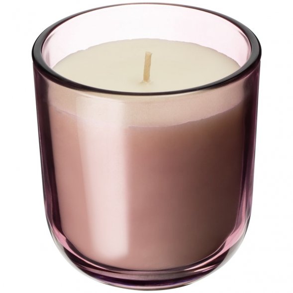 Набор Vitral, красный апельсин и базилик, фиолетовый 