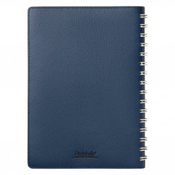 Ежедневник Vista недатированный, синий/бежевый