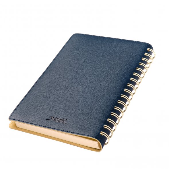 Ежедневник Vista недатированный, синий/бежевый 