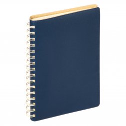 Ежедневник Vista недатированный, синий/бежевый