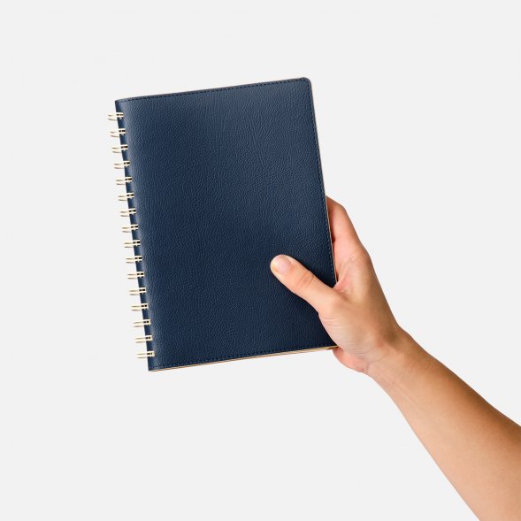 Ежедневник Vista недатированный, синий/бежевый 